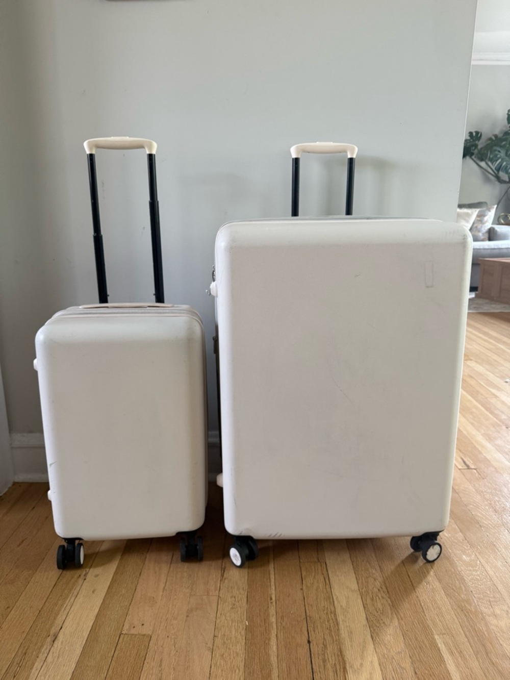 Adair Spinner Luggage Set - 2-Piece, Cream and Lavendar